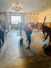 Load image into Gallery viewer, Goat yoga @ The Thirsty Goat
