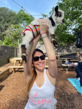 Load image into Gallery viewer, Baby Goat yoga @ The Thirsty Goat