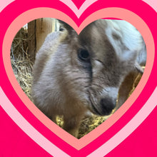Load image into Gallery viewer, Valentine Goat Grams