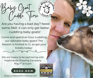 Baby Goat Cuddles @ Hopkinsville Brewing Company