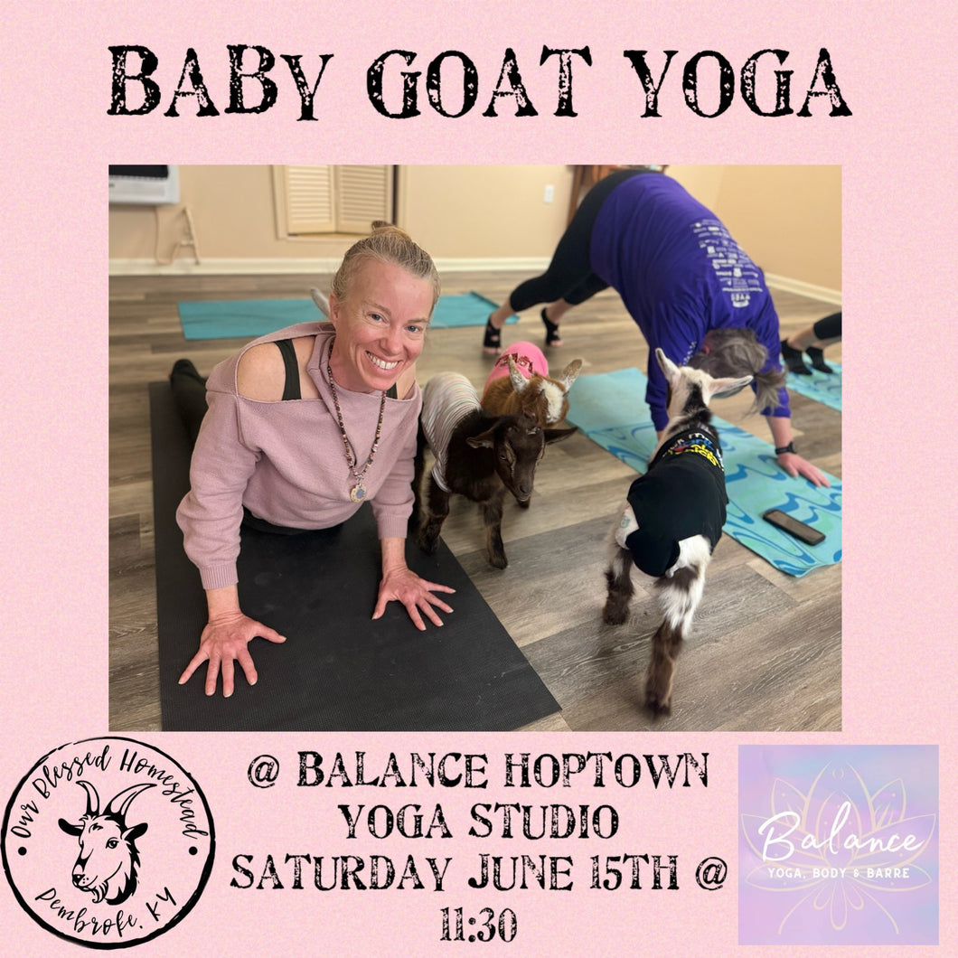 Goat Yoga @ Balance Hoptown