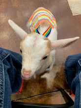 Load image into Gallery viewer, Everyday Goat Grams