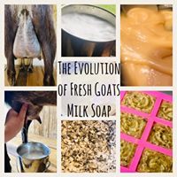 Load image into Gallery viewer, Goat Soap of the Month Club